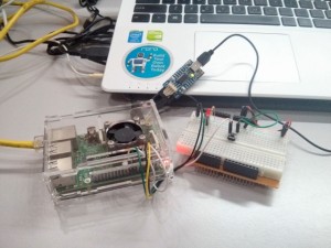 Raspberry Pi 4 Model B with 2 GB RAM