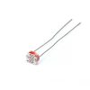 LDR 5mm Light Dependent Resistor PhotoResistor (10Pcs)