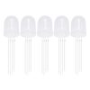 Diffused RGB Common Anode LED - 10mm Tricolor (5pcs)