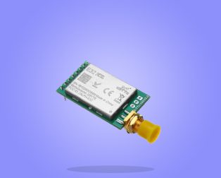 LORA Module