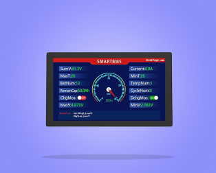 BMS (Battery Management System)