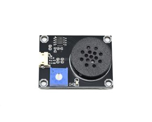 SmartElex Digital Speaker Module